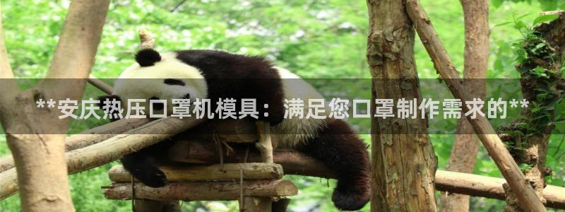 emc32软件：**安庆热压口罩机模具：满足您口罩制作需