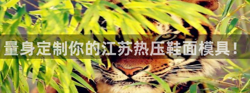 易倍申上市时间