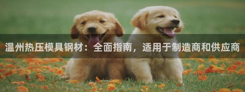 易倍企业管理软件：温州热压模具钢材：全面指南，适用于制造
