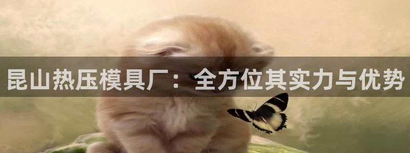 易倍单词官网下载
