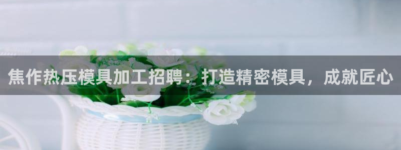 易倍EMC网址