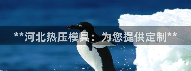 易倍单词app官网