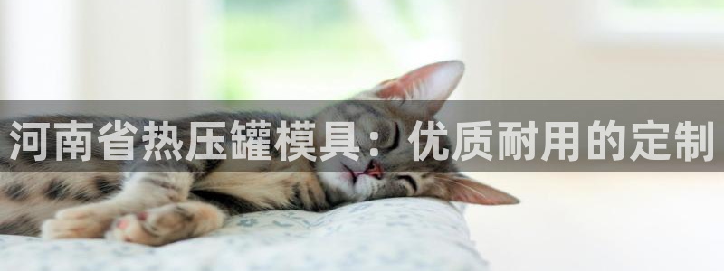 易倍企业管理软件怎么样：河南省热压罐模具：优质耐用的定制