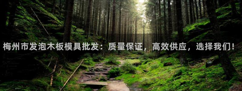 杭州易倍达：梅州市发泡木板模具批发：质量保证，高效供应，