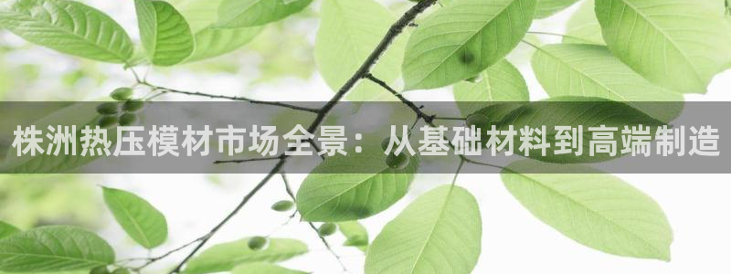 emc频率范围：株洲热压模材市场全景：从基础材料到高端制