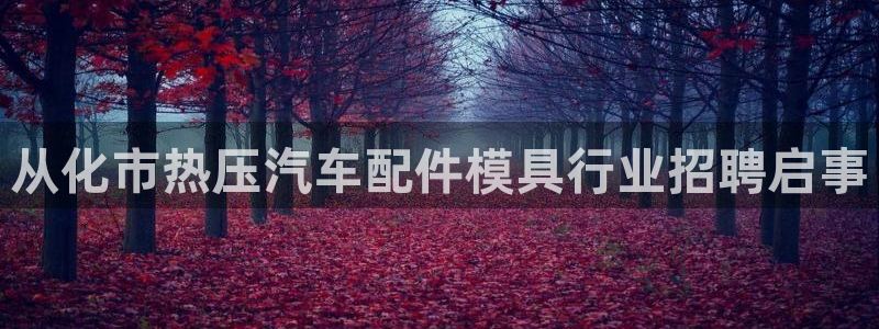杭州易倍达上班怎么样：从化市热压汽车配件模具行业招聘启事