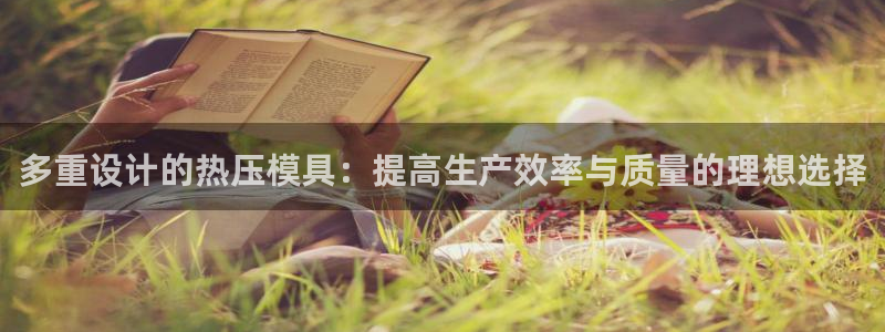 EMC易倍官方网址：多重设计的热压模具：提高生产效率与质