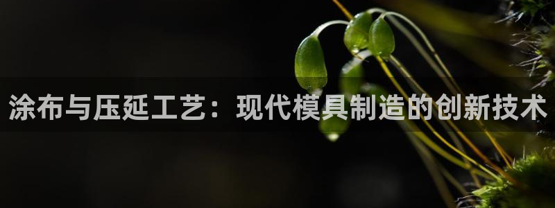 emc网页版：涂布与压延工艺：现代模具制造的创新技术