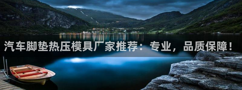 易倍思机电制造(上海)有限公司：汽车脚垫热压模具厂家推荐