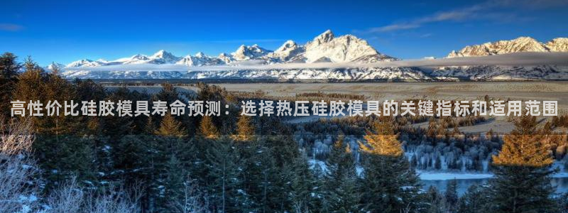 易倍全站：高性价比硅胶模具寿命预测：选择热压硅胶模具的关