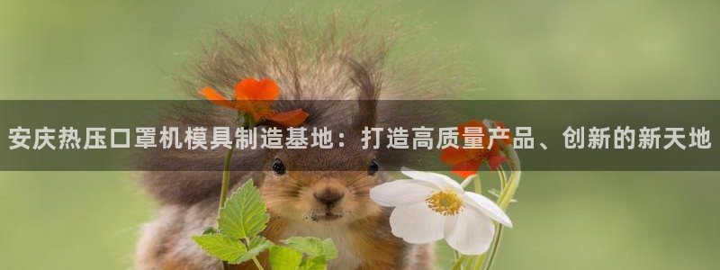 易倍企业管理软件
