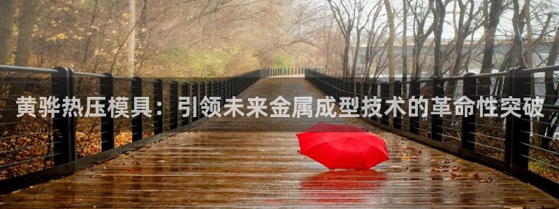 emc倍频超了：黄骅热压模具：引领未来金属成型技术的革命