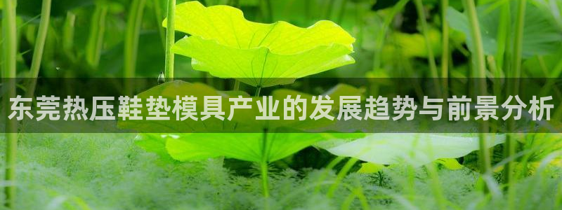 易倍单词登录平台：东莞热压鞋垫模具产业的发展趋势与前景分