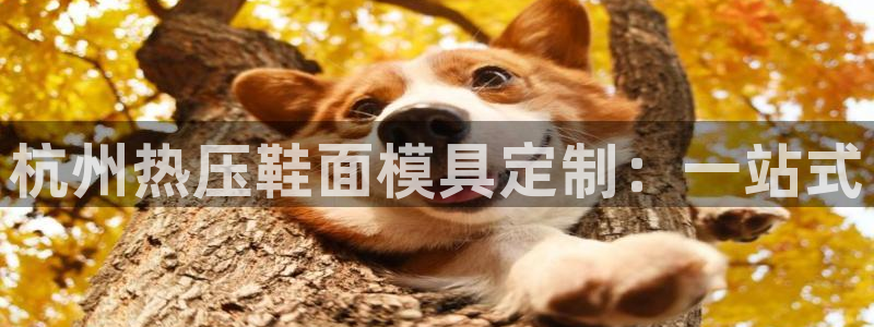 易倍申每盒价格是多少?