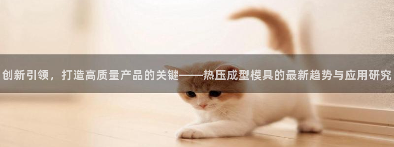 易倍申安理申区别：创新引领，打造高质量产品的关键——热压