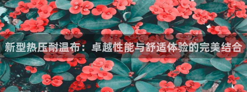 emc平台：新型热压耐温布：卓越性能与舒适体验的完美结合