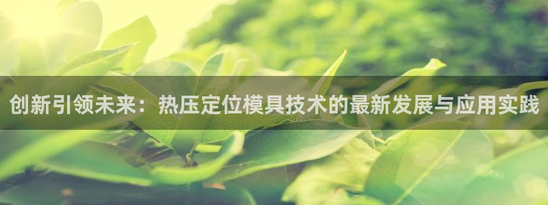 易倍纤多少钱：创新引领未来：热压定位模具技术的最新发展与