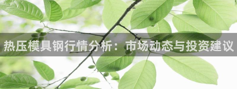 emc下载ios：热压模具钢行情分析：市场动态与投资建议