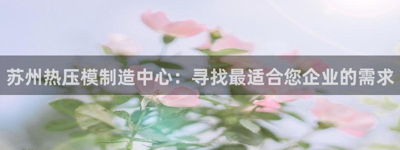 易倍申片说明书：苏州热压模制造中心：寻找最适合您企业的需