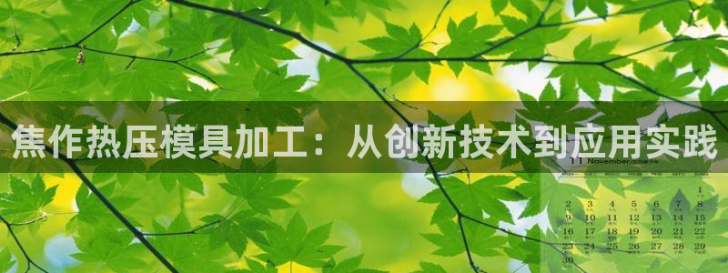 杭州易倍达科技有限公司怎么样