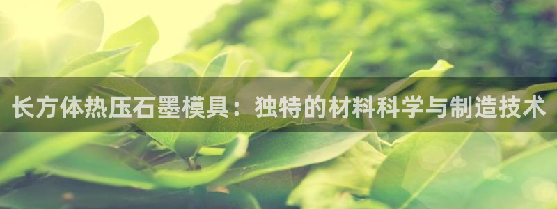emc易倍首存500送球衣：长方体热压石墨模具：独特的材
