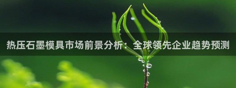 emc易倍首页：热压石墨模具市场前景分析：全球领先企业趋