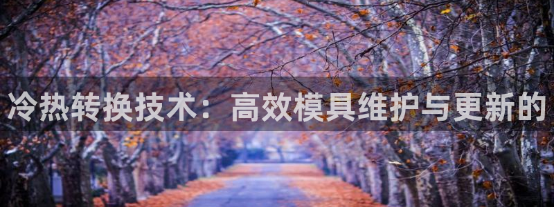 四川易倍易企业管理有限公司：冷热转换技术：高效模具维护与