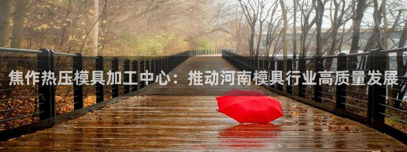 易倍网络技术有限公司：焦作热压模具加工中心：推动河南模具