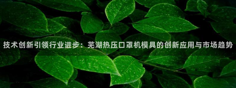 emc易倍ios官网：技术创新引领行业进步：芜湖热压口罩