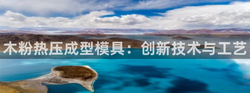 易倍申竞品：木粉热压成型模具：创新技术与工艺