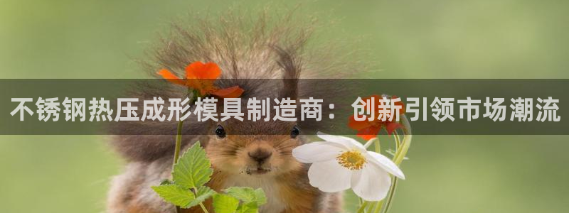 emc易倍全站：不锈钢热压成形模具制造商：创新引领市场潮
