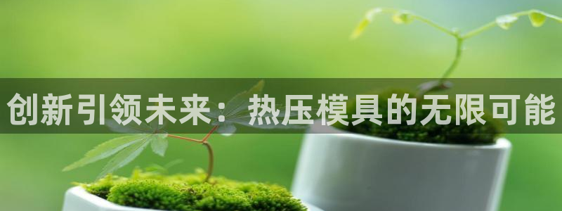 emc备份软件