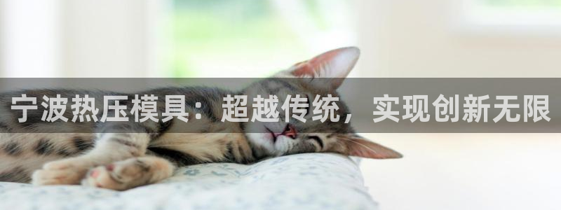 易倍申上市时间：宁波热压模具：超越传统，实现创新无限