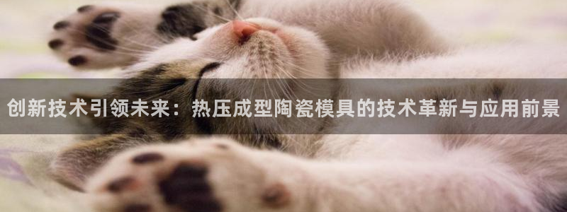 易倍单词官方网站的：创新技术引领未来：热压成型陶瓷模具的