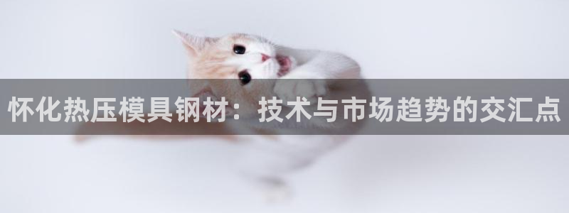 易倍emc网址网页版本登陆：怀化热压模具钢材：技术与市场