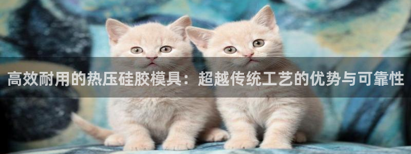 emc易倍老板：高效耐用的热压硅胶模具：超越传统工艺的优