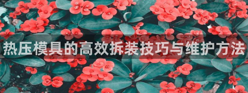emc参数：热压模具的高效拆装技巧与维护方法