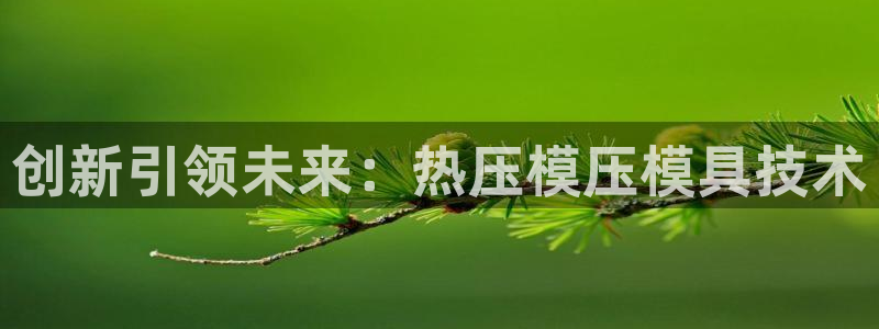 emc易倍官网app下载：创新引领未来：热压模压模具技术