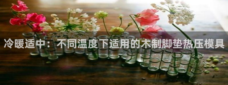 emc倍频超了：冷暖适中：不同温度下适用的木制脚垫热压模
