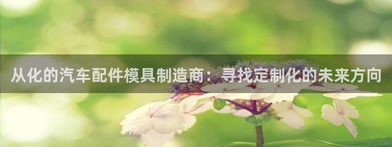 杭州易倍达科技有限公司怎么样：从化的汽车配件模具制造商：