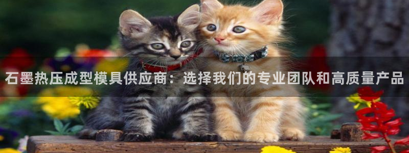 杭州易倍达科技有限公司怎么样：石墨热压成型模具供应商：选