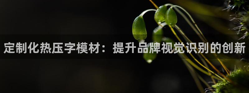 emc服务器是什么