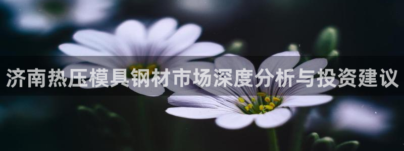 易倍网络技术有限公司招聘