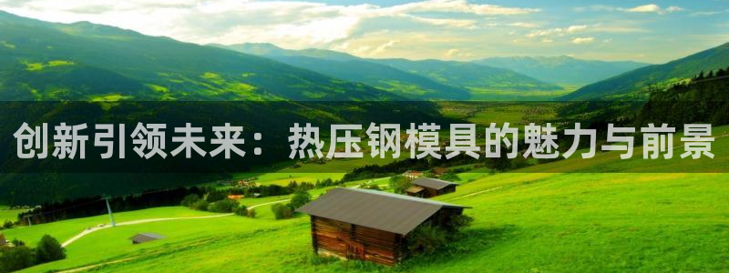 易倍纤多少钱：创新引领未来：热压钢模具的魅力与前景