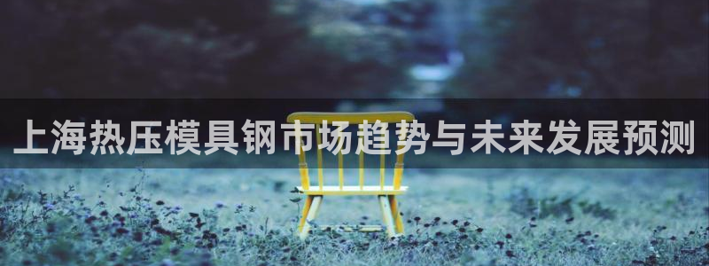 易倍达怎么样：上海热压模具钢市场趋势与未来发展预测