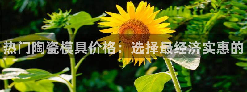 emc易倍穆里尼奥：热门陶瓷模具价格：选择最经济实惠的