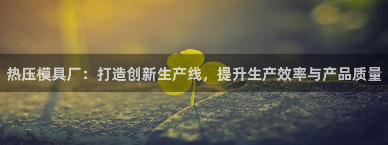 易倍单词app下载：热压模具厂：打造创新生产线，提升生产