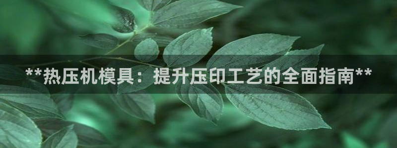 易倍纤酵素效果好吗